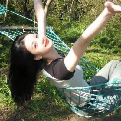 香椿 排行封面
